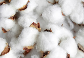 Eco-friendly Organic Cotton | SoulSand